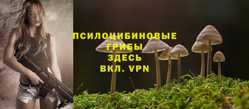 Псилоцибиновые грибы Magic Shrooms  Опочка 